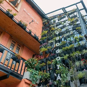 Hostel Masaya 