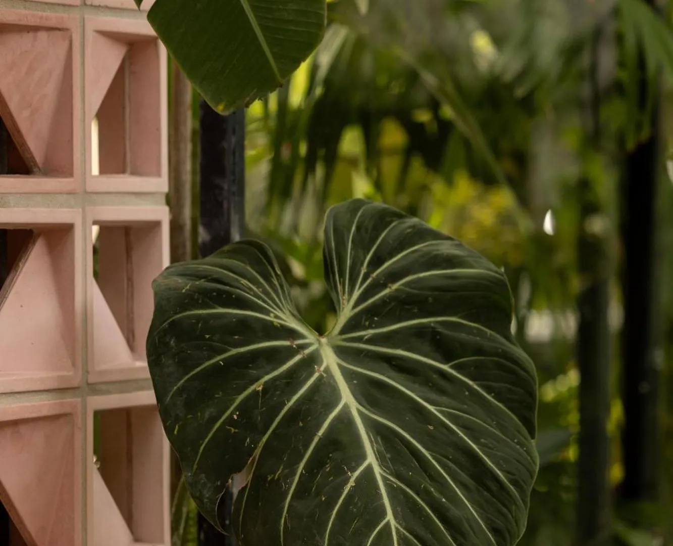 Sui Boutique Hotel Medellin